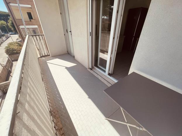  id.5303028